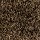 Stanton Carpet: Shaggy Plush Cocoa